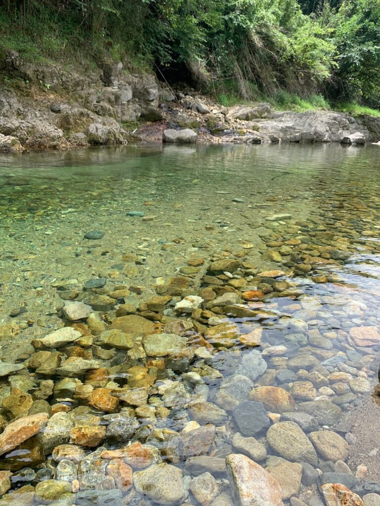 阿東の清流。透き通った水と川底の石が見える自然豊かな川の風景。