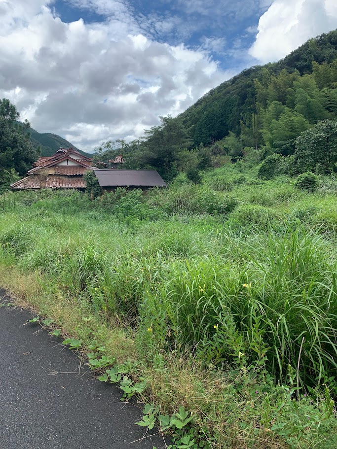 阿東の田舎暮らしの現実、雑草に囲まれた古民家と自然の厳しさ