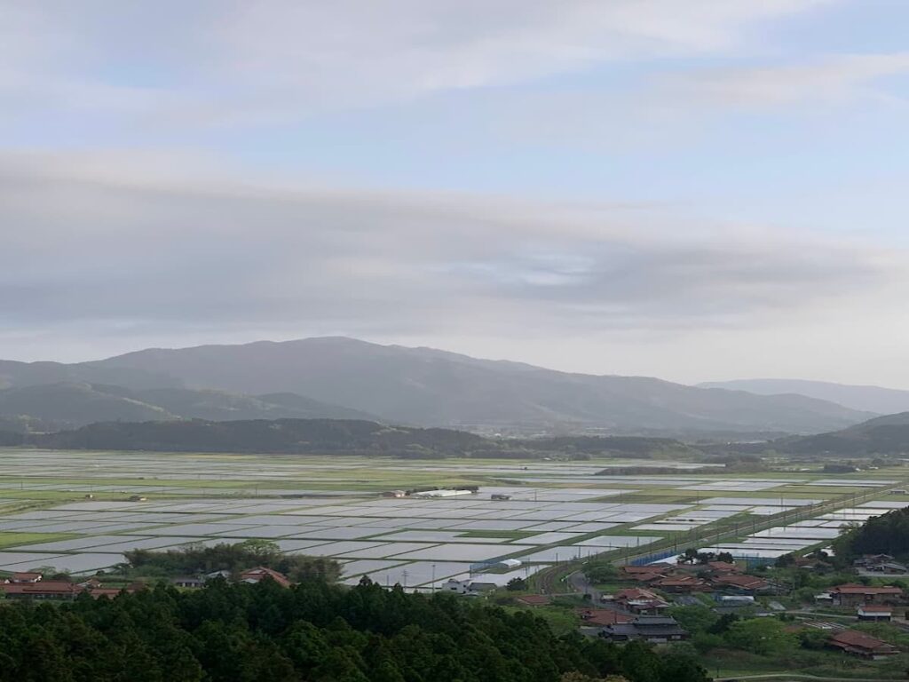 山口市阿東・徳佐地区の水田風景。水を張った田んぼが一面に広がり、山々に囲まれた豊かな里山の景観。