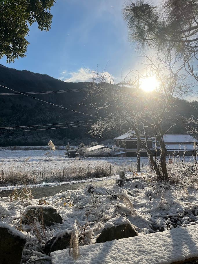 阿東の冬景色。雪に包まれた田園と山々が広がり、朝日が照らす幻想的な風景。