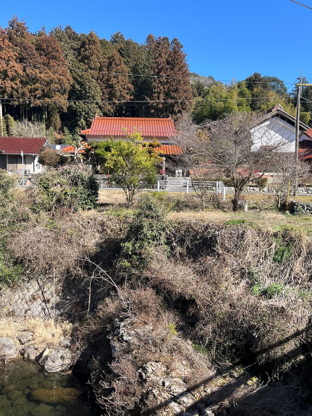 川越しに見えるかんぬしの宿と阿東の自然風景。