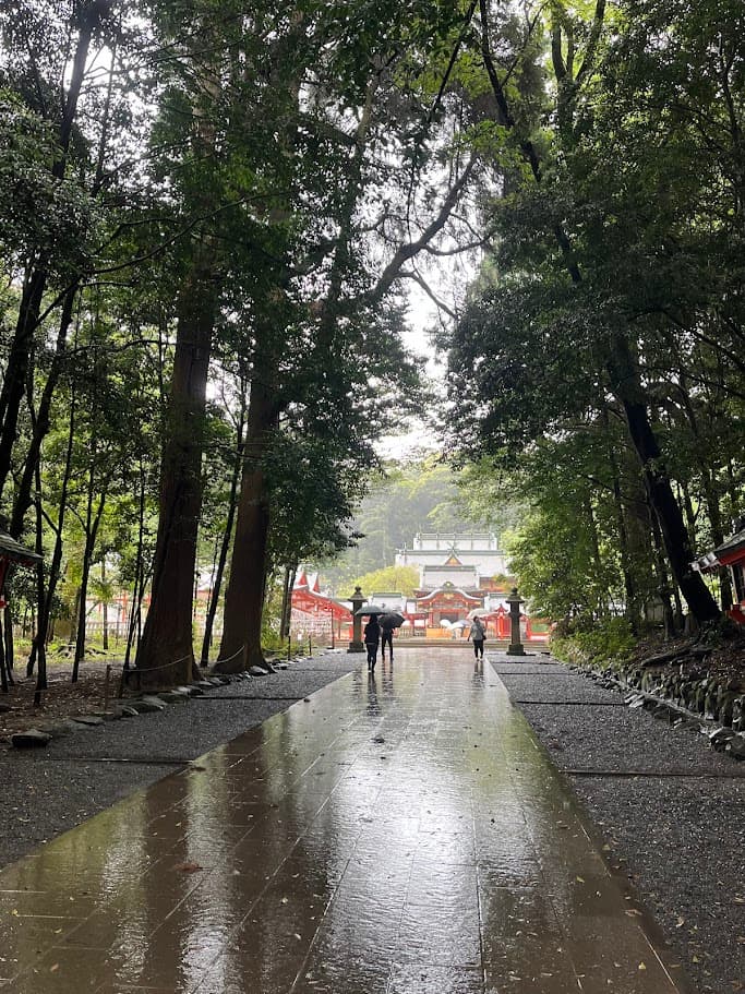 雨に濡れた霧島神宮の参道と奥に見える社殿